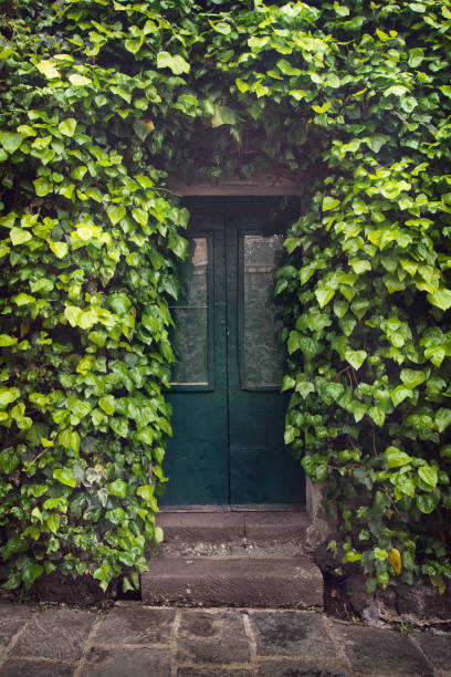 istock Old sicilian door 690737860