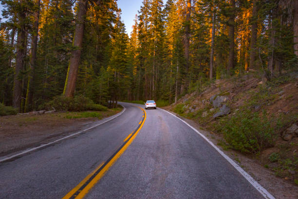 Road trip Yosemite curved back roads