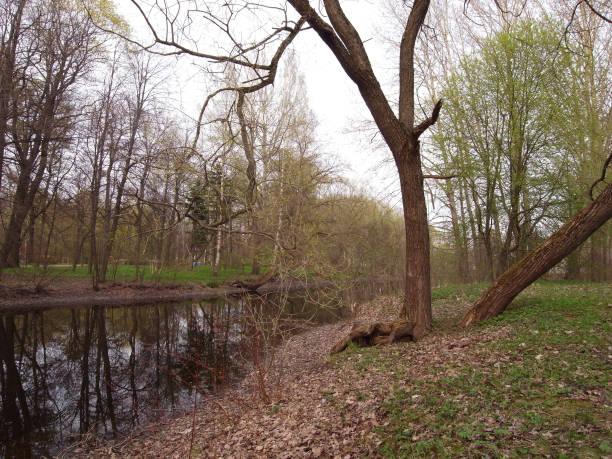 istock Rest in the park. Spring in the park. 690739794