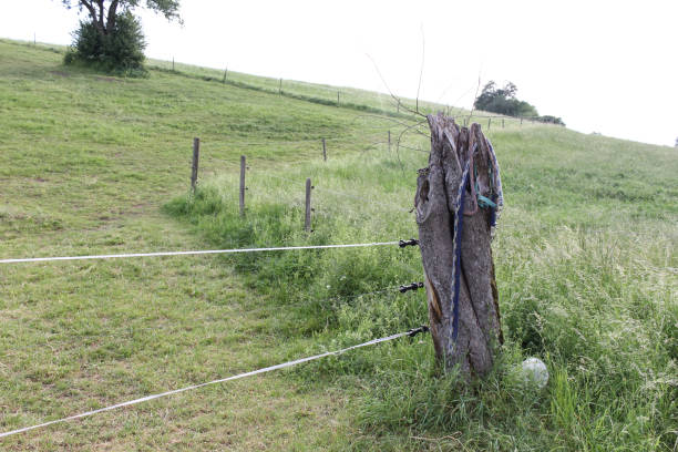 istock electric pasture fence in may in south germany 690757876