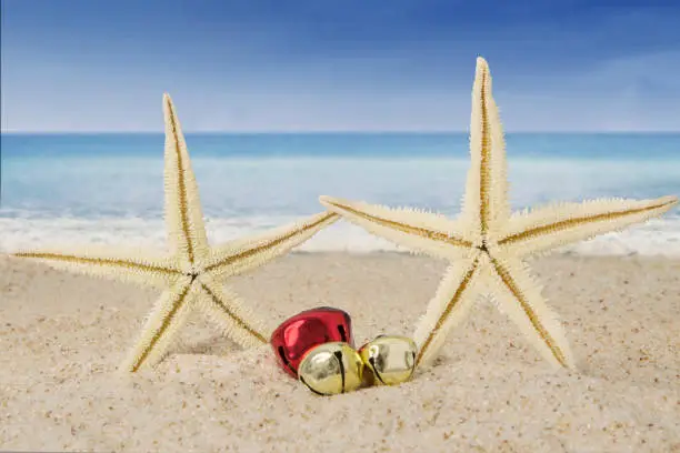 Christmas bells and starfishes on the sandy beach with clear sky