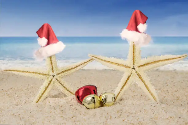 Starfishes and christmas bells on the white sandy beach