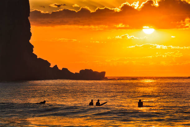 A group of active surfers floating on open ocean waves at sunrise agaist orange sun off Avalon beach in a shade of tall sandstone cliff in Sydney, Australia.