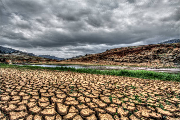 干ばつで川の土手の割れた地球 - global warming drought riverbank dirt ストックフォトと画像