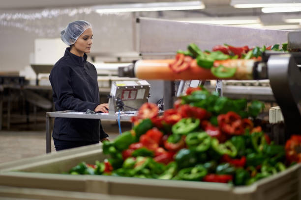 istock Automation makes her job so much simpler 690781406