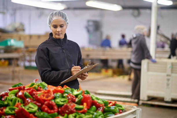 She's got an eye for quality control Shot of a focused young factory working doing quality control in a vegetable processing plant pepper vegetable photos stock pictures, royalty-free photos & images