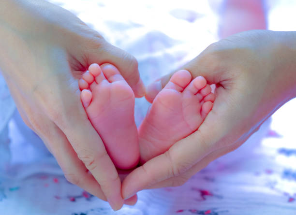 istock Newborn Baby's feet on female hands . 690789890