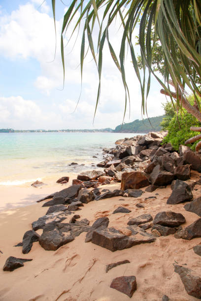 istock Ocean rocky cost line. Sri Lanka beaches 690793446