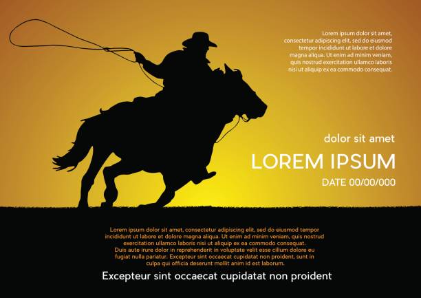 Rodeo competition tournament, sunset background. Vector poster cowboy and lasso on the horse Rodeo competition tournament, sunset background. Vector poster cowboy and lasso on the horse rodeo stock illustrations