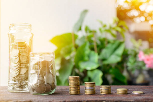 istock Growing silver coins and saving money step succeed 690800134