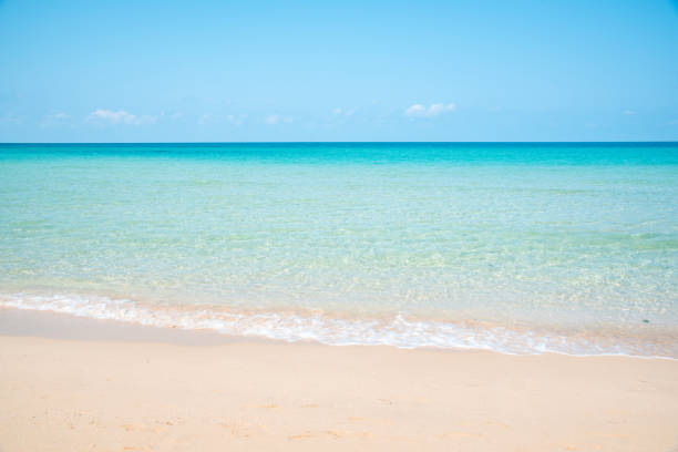 istock tropical beach and sea with blue sky 690819938