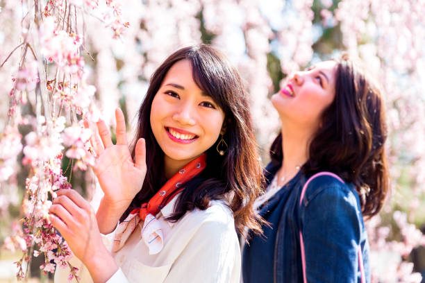 istock Japanese women with cherry blossoms 690819972