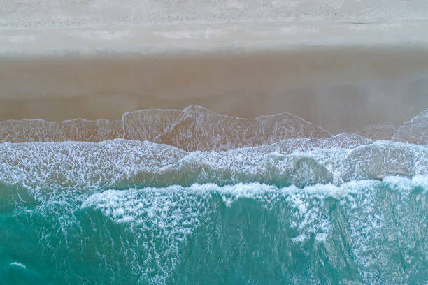 istock Beach on aerial drone top view with ocean waves reaching shore. 690820070