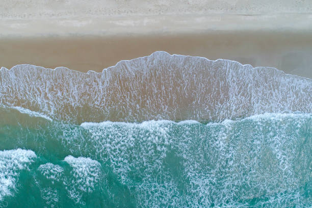 istock Beach on aerial drone top view with ocean waves reaching shore. 690820072