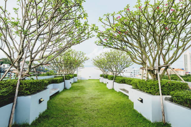 Modern garden on deck roof, green grass lawn with tropical tree