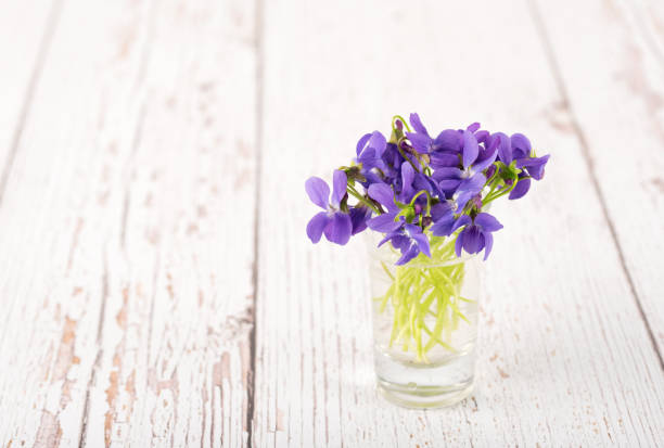 istock Violet flowers on a wooden background 690829376