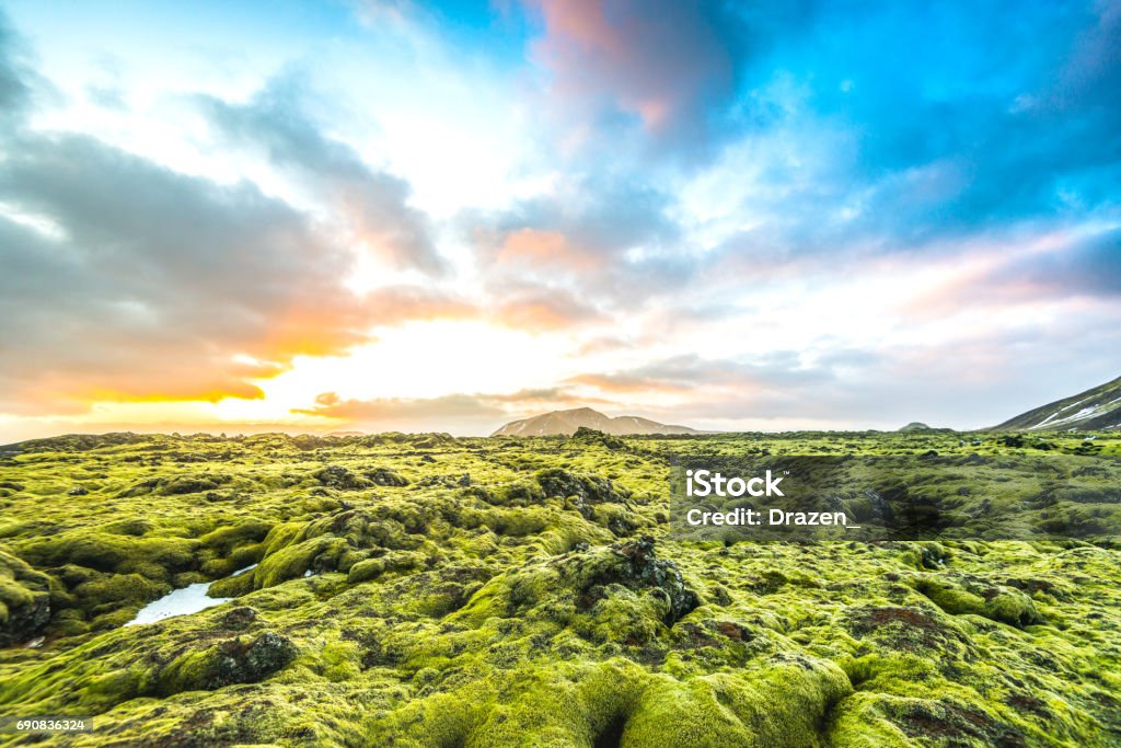 Moss landscape in Iceland Traveling around Iceland and exploring beautiful volcanic landscapes Adventure Stock Photo