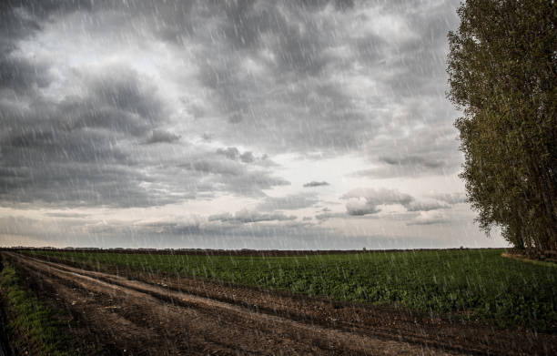 istock Rainy day in the nature 690836956