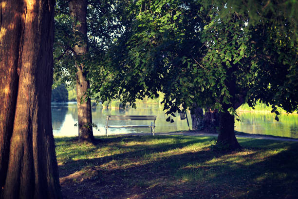 istock Bench near the lake 690837600