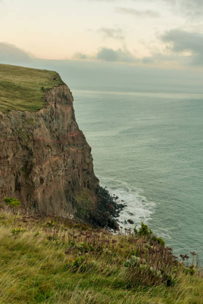 istock Godley park - Taylors Mistake Cliff 690840622
