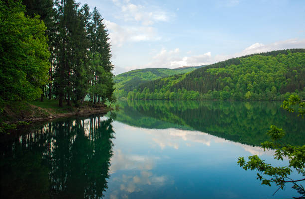 istock Shore pine forest near lake on background green mountains 690845316