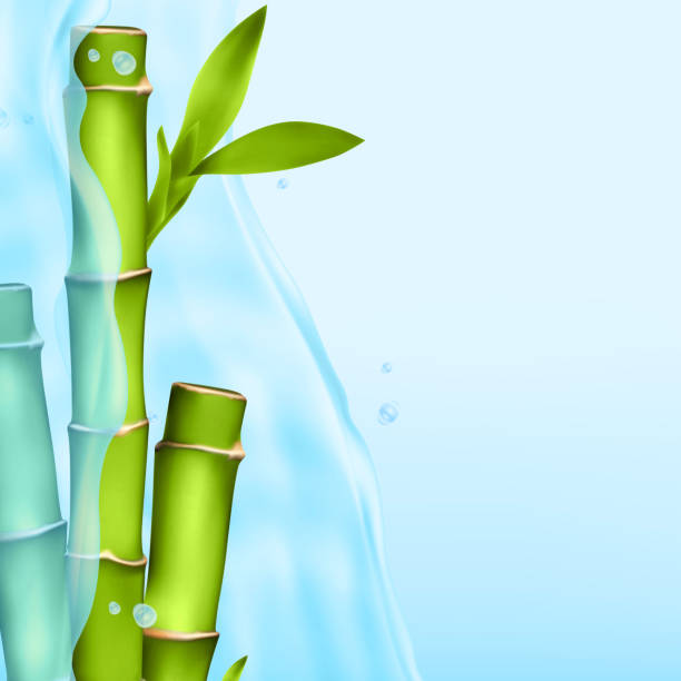 illustrazioni stock, clip art, cartoni animati e icone di tendenza di bambù in una spruzzata d'acqua - bamboo fountain illustrations