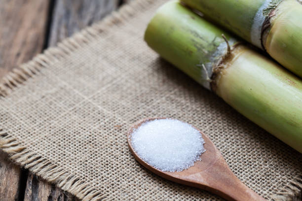 istock Sugar cane on wooden background 690848218