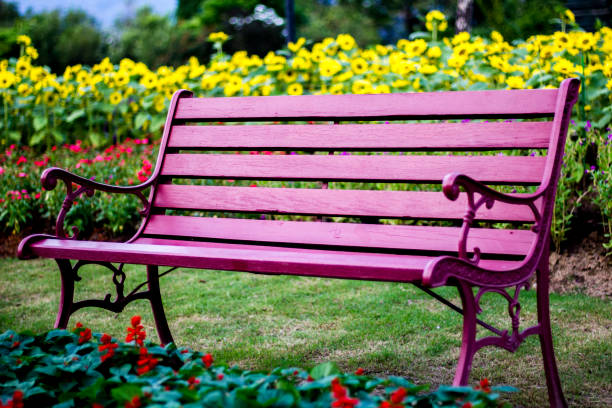 istock Chairs in flower garden 690868308