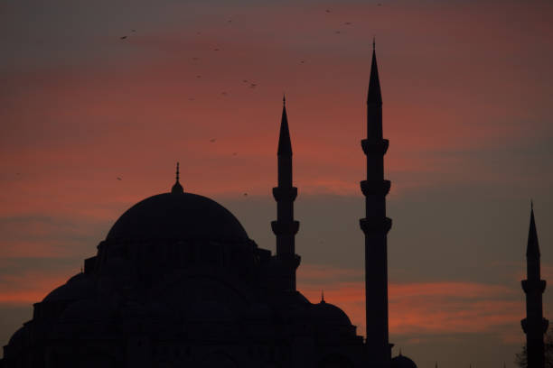 istock Sunset at the Suleymaniye Mosque 690876176