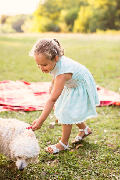 istock Adorable child pulling dog by his collar at the countryside 690876482