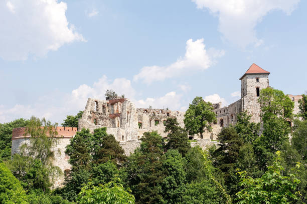 istock Tenczyn Castle in Rudno (Poland) 690879800