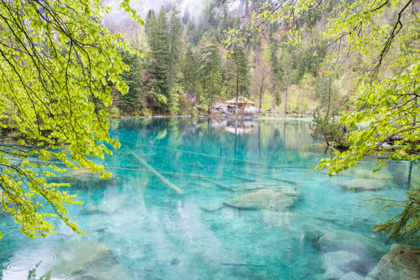 istock Blausee is a small lake in the Kander valley above Kandergrund. 690883350