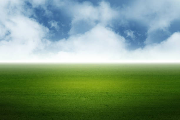 istock Image of green grass field and bright blue sky 690887636