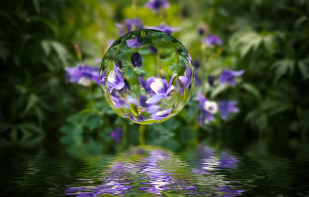 istock Flowers in glass sphere 690894168