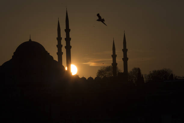 istock Sunset at the Suleymaniye Mosque 690896544