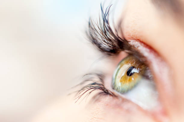 istock Beautiful Female Eyes 690903692