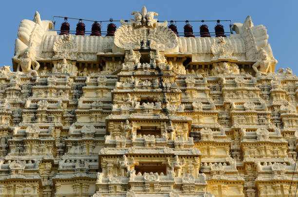 istock Temple in Kanchipuram 690943538