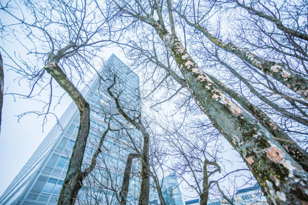istock Top Corporate Building in WInter 691054348
