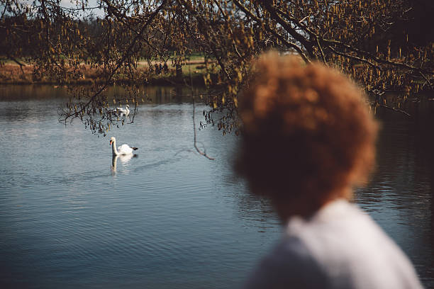 rear view of woman looking at swans swimming on lake in richmond park - richmond park imagens e fotografias de stock