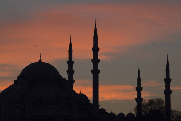 istock Sunset at the Suleymaniye Mosque 691093396