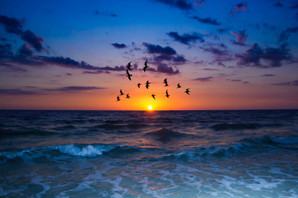 istock Beautiful sunset in Florida 691094856