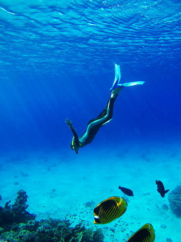 Diver in Deep Blue Sea. Go pro camera shot