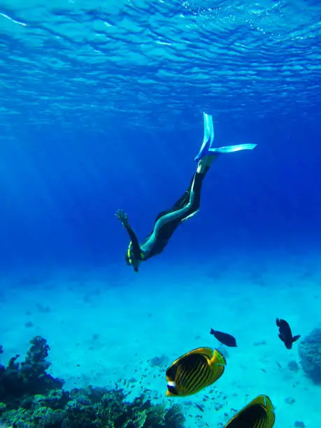 Diver in Deep Blue Sea. Go pro camera shot
