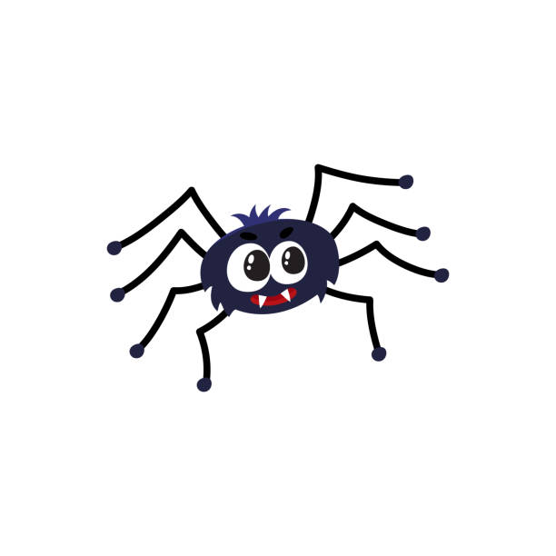 Cute, funny black spider, traditional Halloween symbol, cartoon vector illustration Cute and funny black spider, traditional Halloween symbol, cartoon vector illustration isolated on white background. Cartoon style Halloween spider with wide spread wings, cute little creature hairy insect stock illustrations