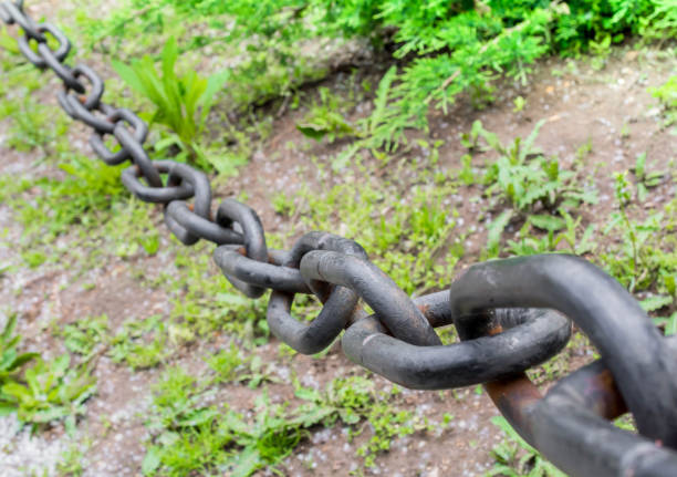CABLE DRAG CHAIN with move