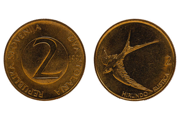 istock Dva tolarja republika Slovenija coin isolated on a white background 691103734