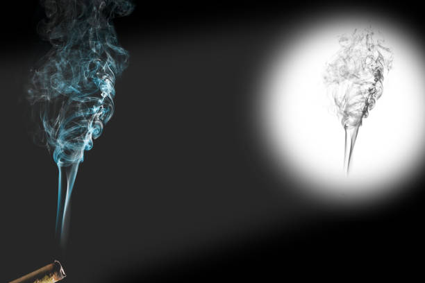 istock Cigar smoke isolated on a black background 691108672