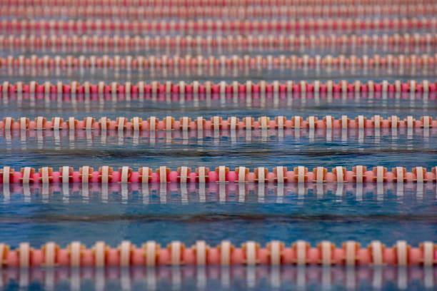 Lanes of a competition swimming pool