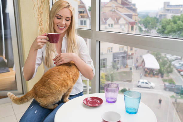 istock Woman with cat at cafe 691113742