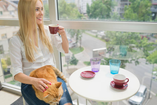 istock Woman with cat at cafe 691113866